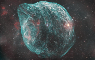 The Dolphin Head Nebula