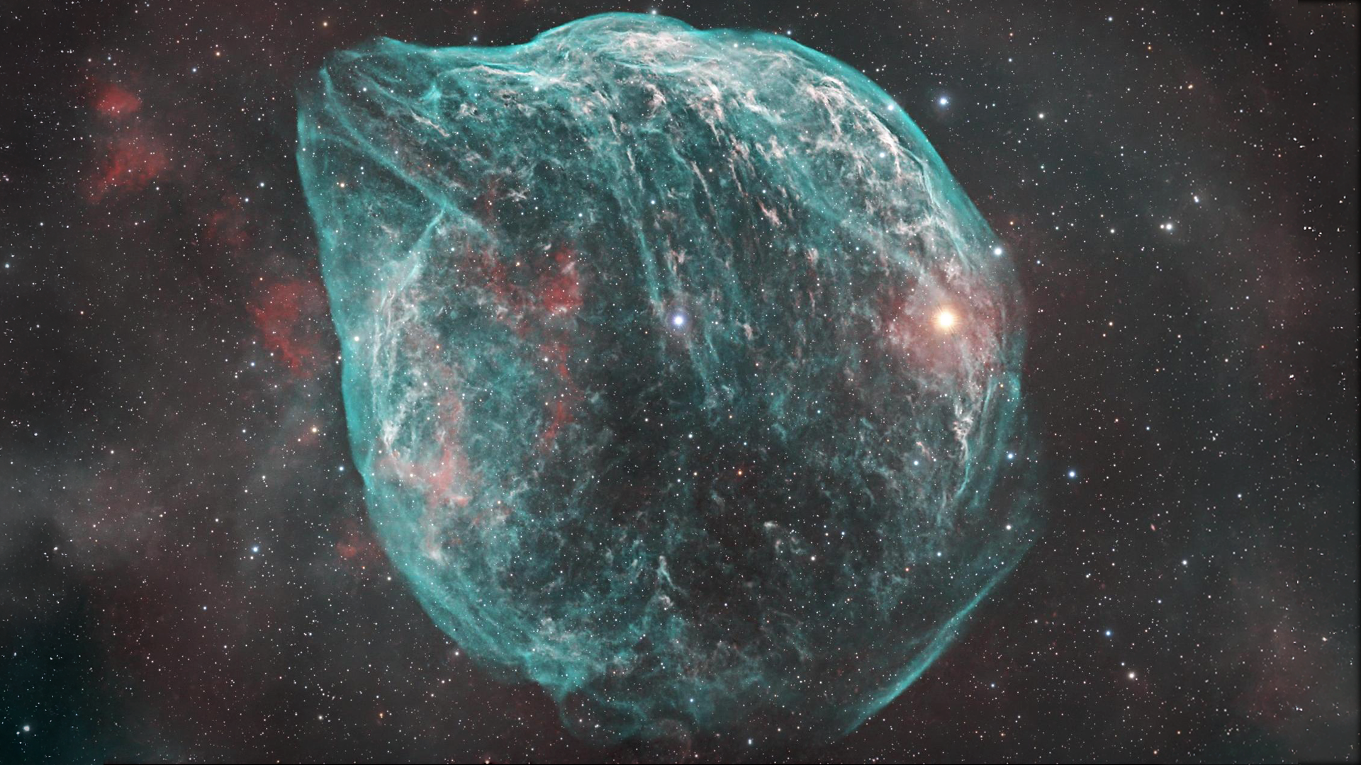 The Dolphin Head Nebula